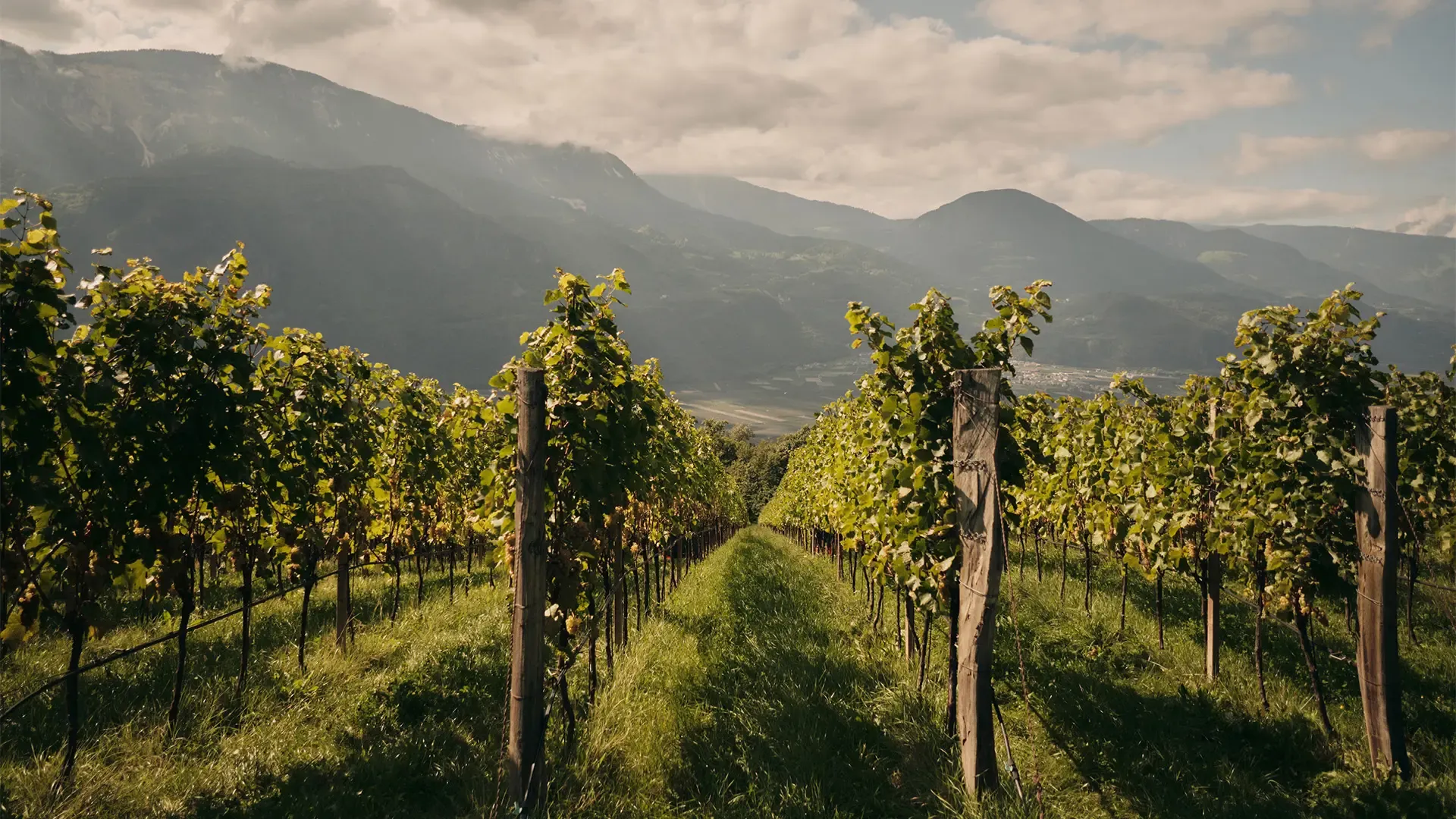 Atmosphärisches Detail Anima Suites