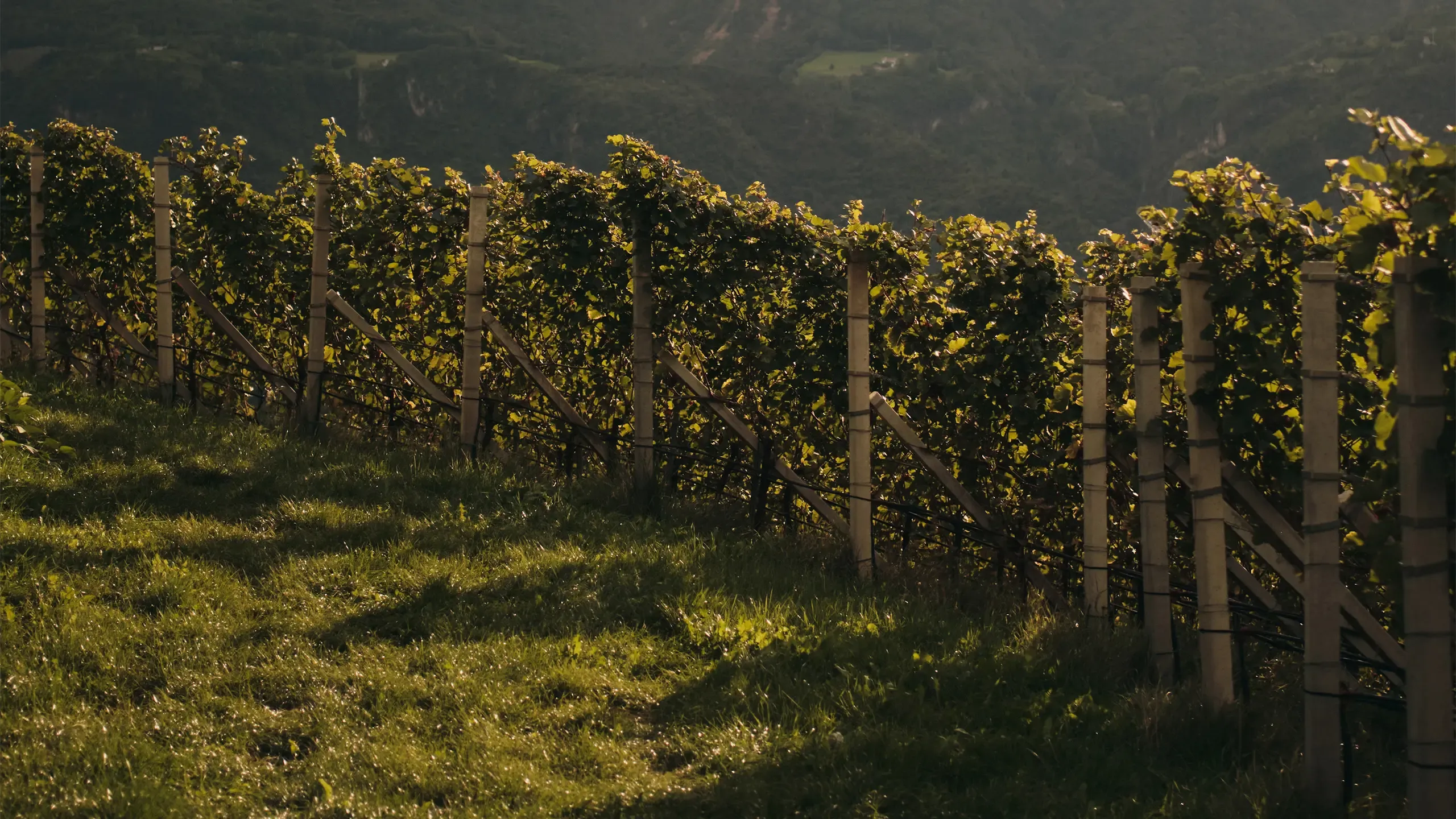 Event Setup bei Nacht