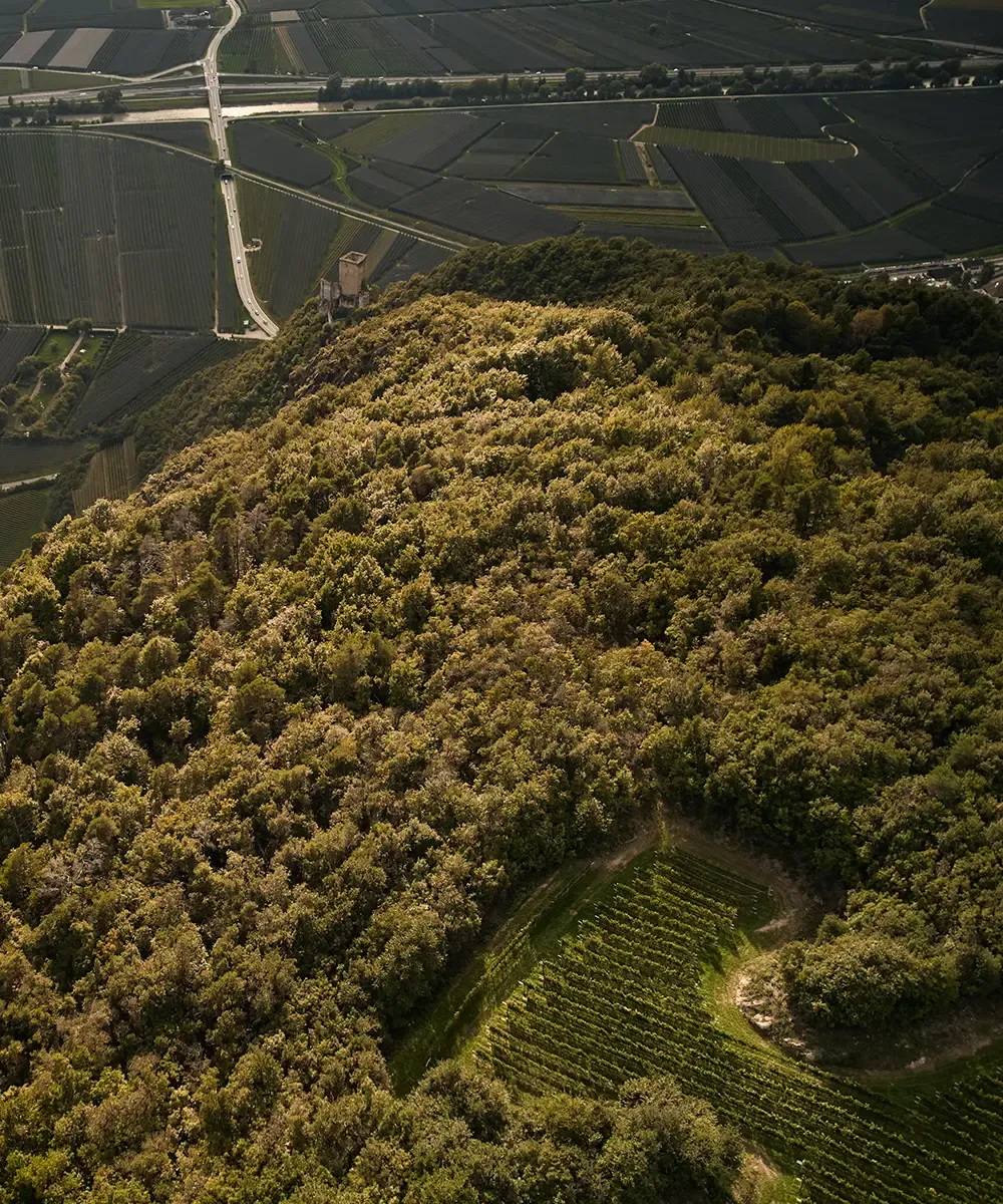 Blick auf die Burgruine Maultasch